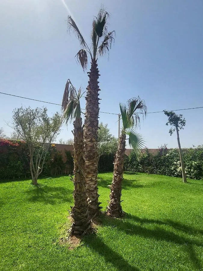 Dar Sofia Villa Marrakesh
