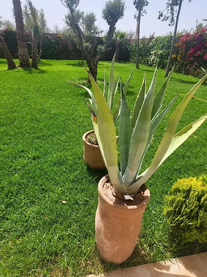 Dar Sofia Villa Marrakesh